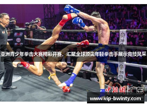 亚洲青少年拳击大赛精彩开赛，汇聚全球顶尖年轻拳击手展示竞技风采