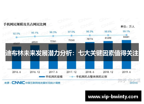 迪布林未来发展潜力分析：七大关键因素值得关注