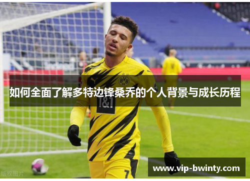 如何全面了解多特边锋桑乔的个人背景与成长历程 如何全面了解多特边锋桑乔的个人背景与成长历程