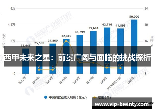 西甲未来之星：前景广阔与面临的挑战探析